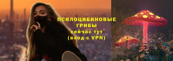 марки nbome Горнозаводск