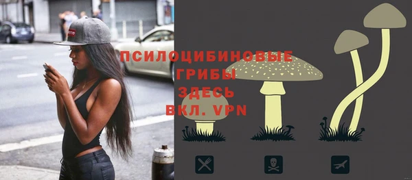 марки lsd Горно-Алтайск