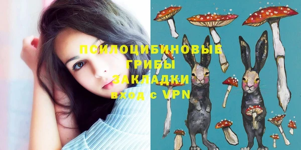 марки nbome Горнозаводск