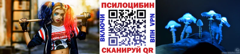 Галлюциногенные грибы прущие грибы  хочу   Пятигорск 