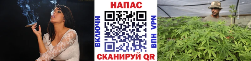 Бошки Шишки конопля Пятигорск